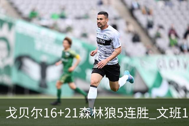 戈贝尔16+21森林狼5连胜 文班12+10马刺15连败